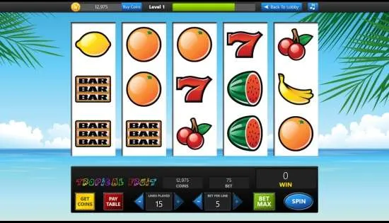 Slot Machine-Machine