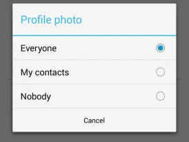 WhatsApp Hide Profile Photo