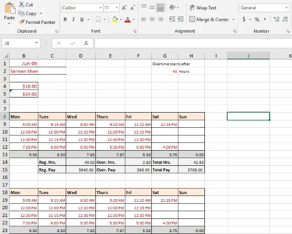 Biweekly Basic Timesheet