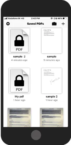protect PDF setting a password