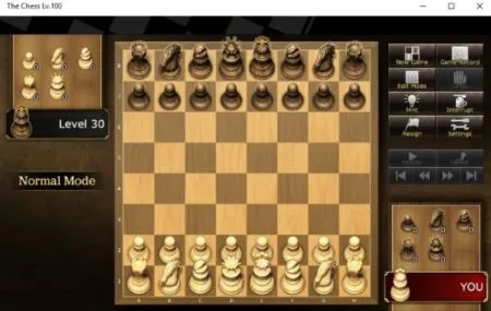 The Chess Lv. 100