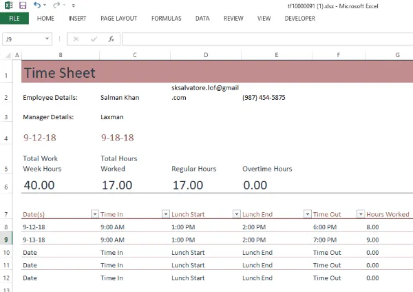 Time Sheet (by Microsoft Templates)